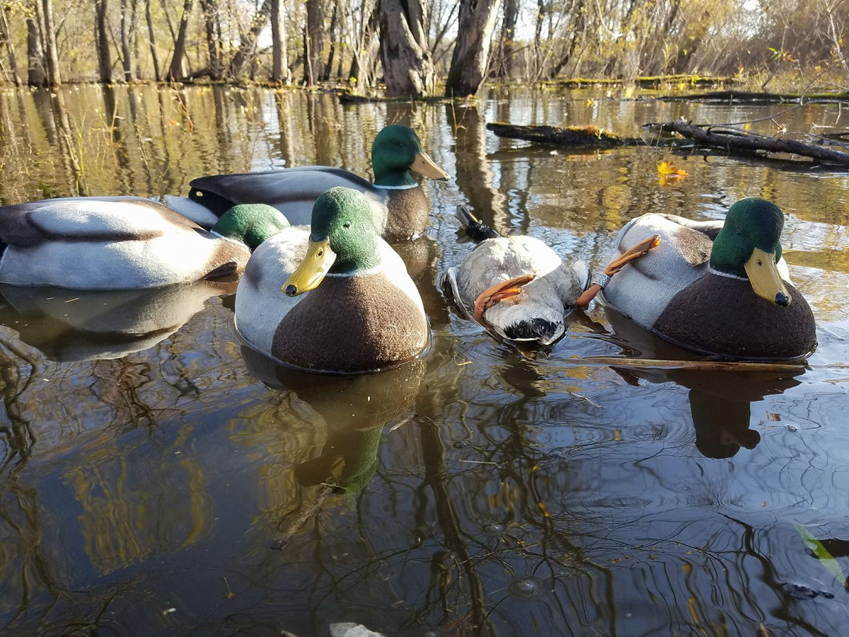 Mallard Head Decoy Flocking Kit Flocking Unlimited