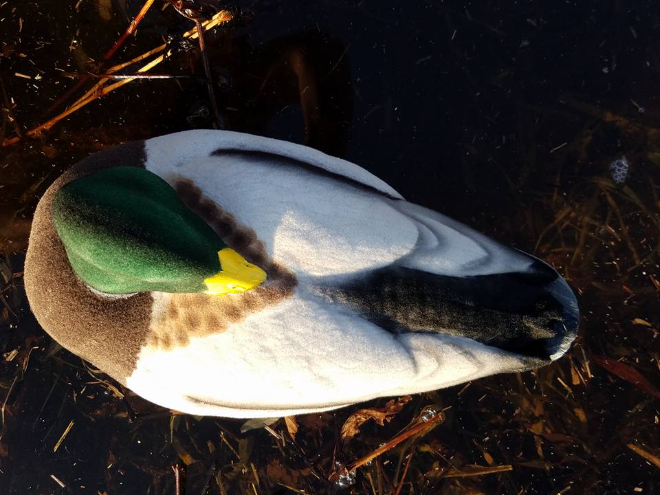 Mallard Supreme Decoy Flocking Kit Flocking Unlimited