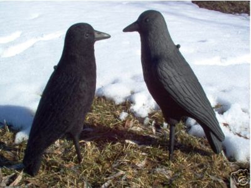 Crow Decoy Flocking Kit Flocking Unlimited