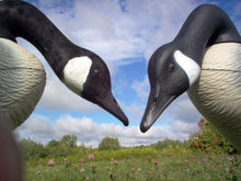 Load image into Gallery viewer, Canada Goose Decoy Flocking Kit Medium 50 Decoy Heads (International Orders)