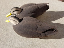 Load image into Gallery viewer, Black Duck Full Body Decoy Flocking Kit