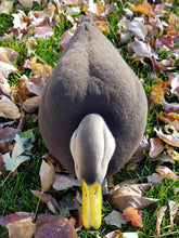 Load image into Gallery viewer, Black Duck Full Body Decoy Flocking Kit
