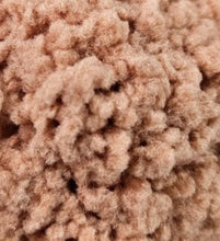 Load image into Gallery viewer, Coral Flocking Kit
