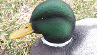 Mallard Head Decoy Flocking Kit