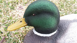 Mallard Head Decoy Flocking Kit