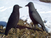 Crow Decoy Flocking Kit