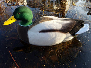Drake Mallard Full Body Decoy Flocking Kit