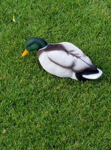 Drake Mallard Full Body Decoy Flocking Kit