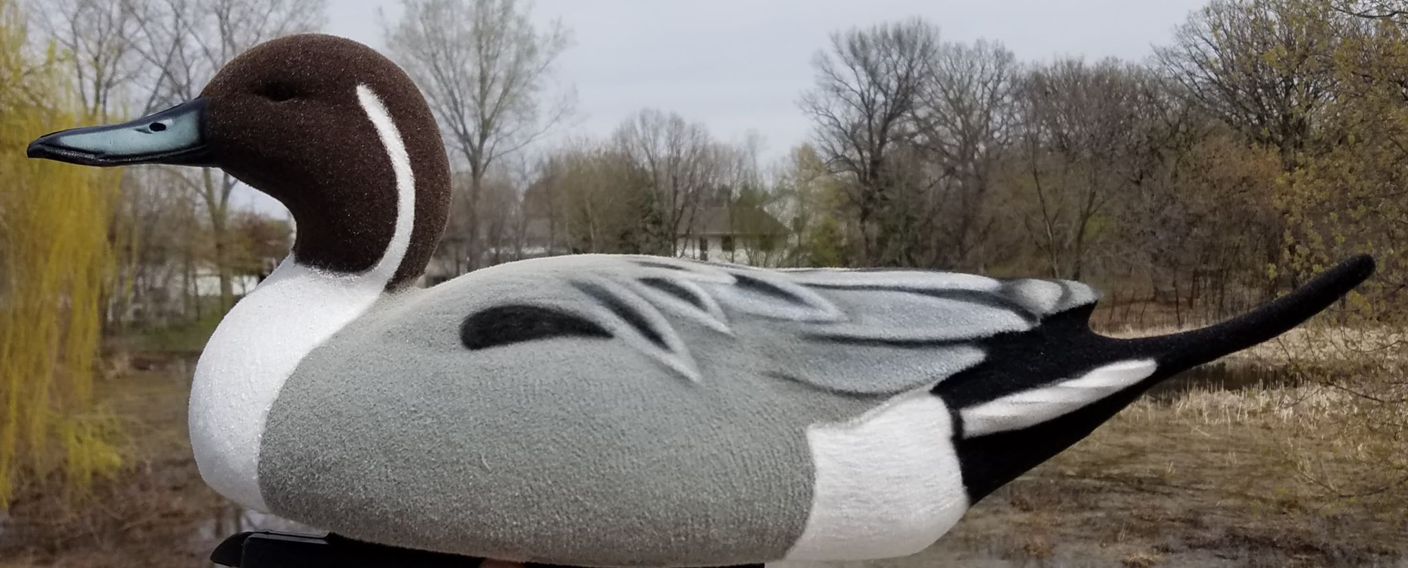 Pintail Decoy Flocking Kit Flocking Unlimited